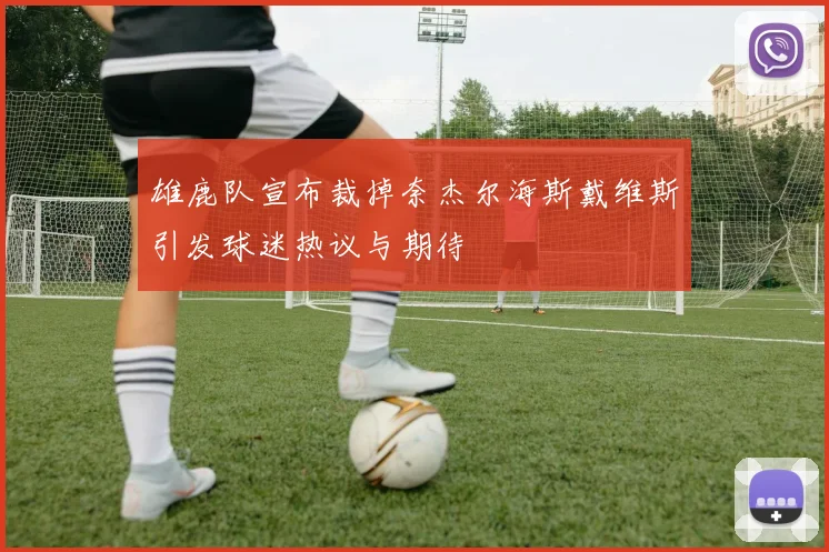 雄鹿队宣布裁掉奈杰尔海斯戴维斯引发球迷热议与期待