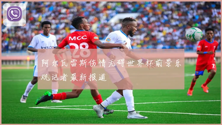 阿尔瓦雷斯伤情无碍世界杯前景乐观记者最新报道
